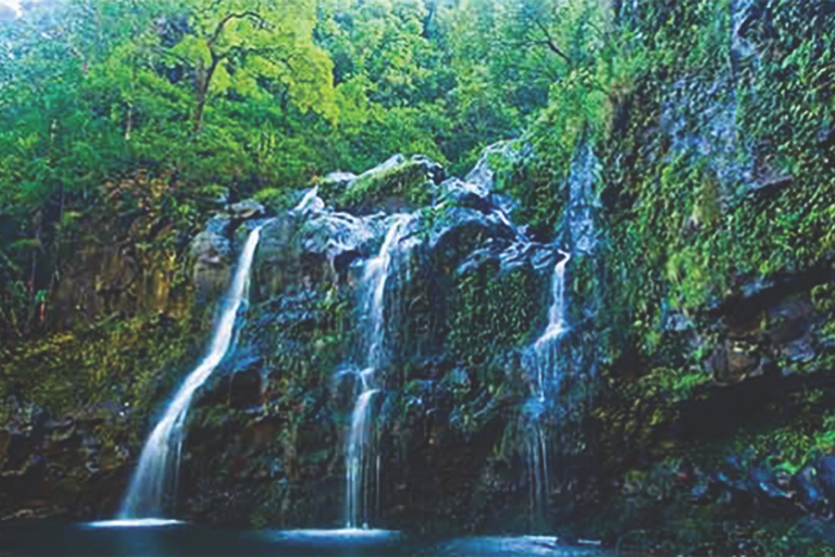 Lush tropical waterfall with multiple narrow cascades flowing over mossy rocks into a serene forest pool.